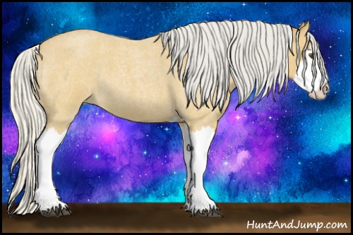 Horse Color:Silver Buckskin Roan Splash 