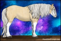 Horse Color:Silver Buckskin Roan Splash 