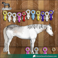 Horse Color:White Spotted Silver Smoky Blue Roan Splash Rabicano