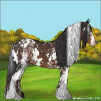 Horse Color:White Spotted Liver Chestnut 