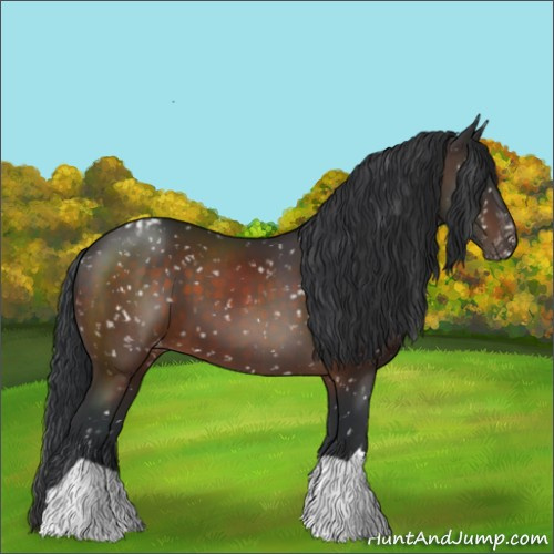 Horse Color:Brown Appaloosa