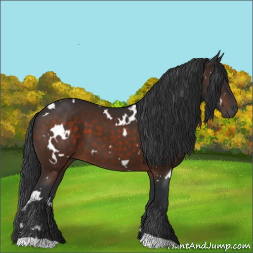 Horse Color:White Spotted Brown