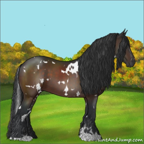 Horse Color:White Spotted Brown 