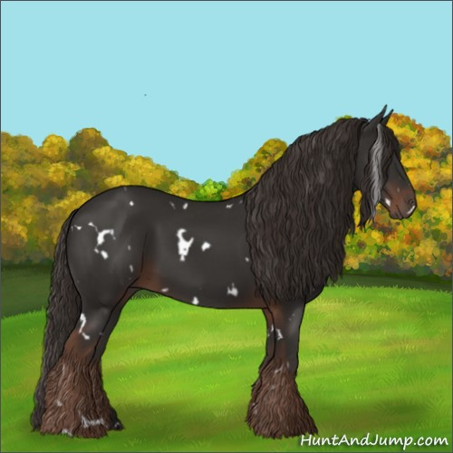 Horse Color:White Spotted Liver Chestnut Rabicano 