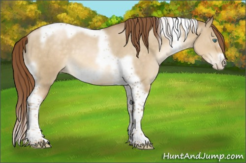 Horse Color:Smoky Grullo Pearl Tobiano Frame 