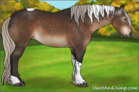 Horse Color:Gray Silver Bay Tobiano