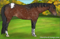 Horse Color:Bay Tobiano Snowflake Varnish