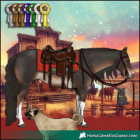 Horse Color:Liver Chestnut Tobiano 