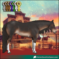 Horse Color:Liver Chestnut Tobiano 