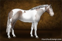Horse Color:Gray Silver Black Pearl Tobiano