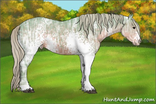 Horse Color:Watercolor White Spotted Silver Black Ice 