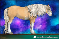 Horse Color:Gold Cream Champagne Sabino 