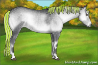 Horse Color:Painted Silver Blue Onyx Chinchilla Rabicano 