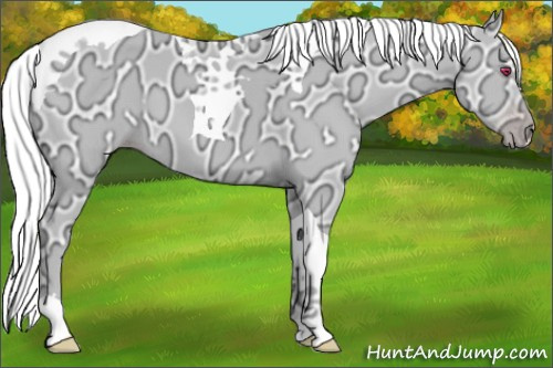 Horse Color:Silver Classic Cream Champagne Chinchilla Ice Tobiano 