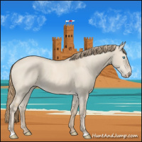 Horse Color:Smoky Creme Dun 