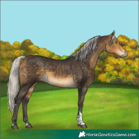 Horse Color:Silver Buckskin Tobiano 