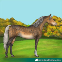 Horse Color:Silver Buckskin Tobiano 
