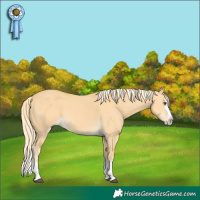 Horse Color:Palomino Dun Splash 