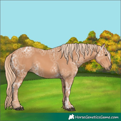 Horse Color:Chestnut Ice 