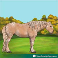 Horse Color:Chestnut Ice 