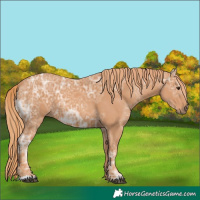Horse Color:Chestnut Ice 