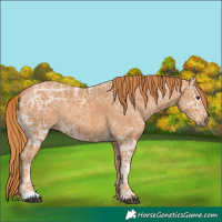 Horse Color:Chestnut Ice 