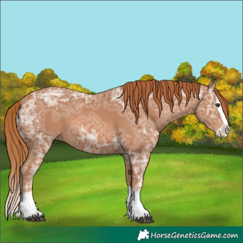 Horse Color:Chestnut Ice Splash 