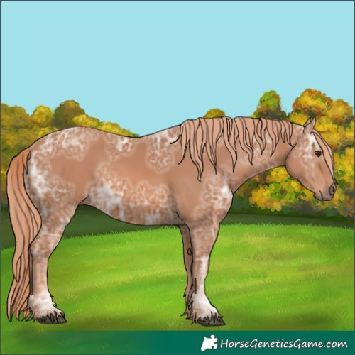 Horse Color:Chestnut Ice 
