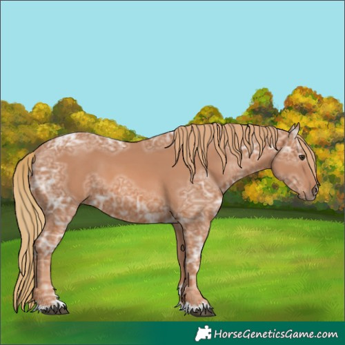Horse Color:Chestnut Ice 