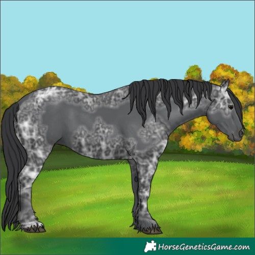 Horse Color:Black Ice 