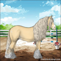 Horse Color:Palomino Dun Splash 