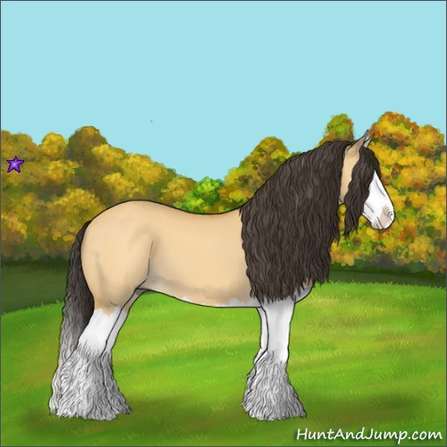 Horse Color:Buckskin Dun Splash