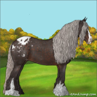 Horse Color:Silver Brown Sabino Varnish 