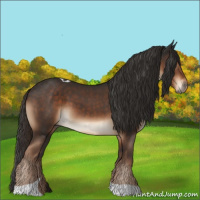 Horse Color:Liver Chestnut Tobiano 