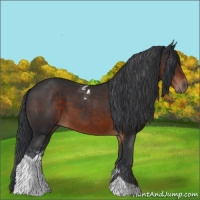 Horse Color:Brown Tobiano