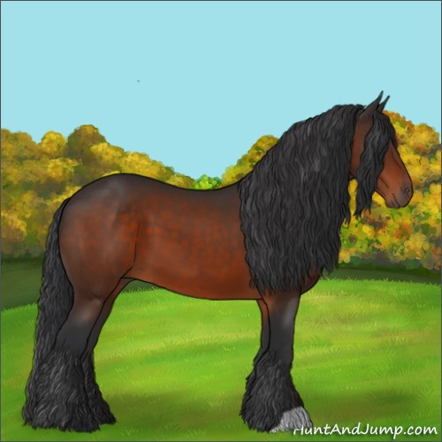 Horse Color:Brown 