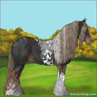 Horse Color:Liver Chestnut Tobiano 