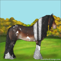 Horse Color:White Spotted Brown Tobiano Varnish 