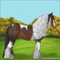 Horse Color:White Spotted Liver Chestnut Tobiano 