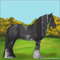 Horse Color:Black Tobiano
