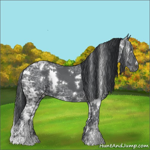 Horse Color:White Spotted Black Ice 