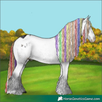 Horse Color:Painted Midnight Brown Ice Appaloosa 