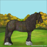 Horse Color:Midnight Sable Champagne Ice