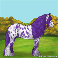 Horse Color:Watercolor Brown Ice Appaloosa