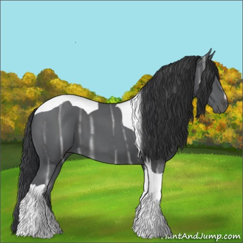 Horse Color:Black Ice Tobiano 