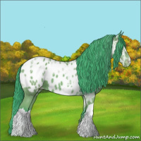 Horse Color:Watercolor Bay Ice Appaloosa