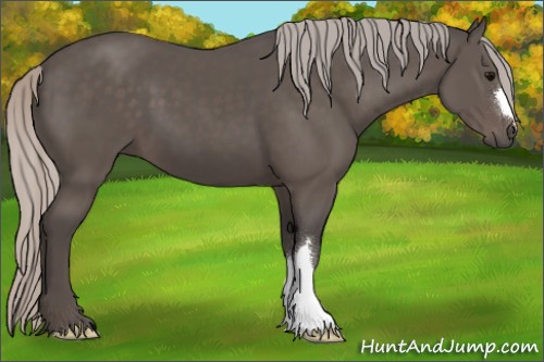 Horse Color:Silver Black 