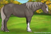 Horse Color:Silver Black 