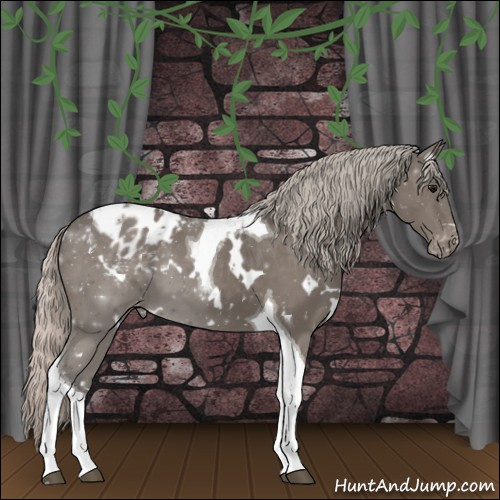 Horse Color:White Spotted Silver Black Tobiano Varnish