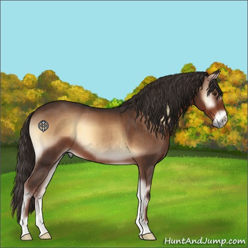Horse Color:Liver Red Onyx 